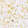 Artisan Confetti - 1 oz - Princess