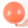 Giant Latex Balloon
