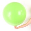 Giant Latex Balloon