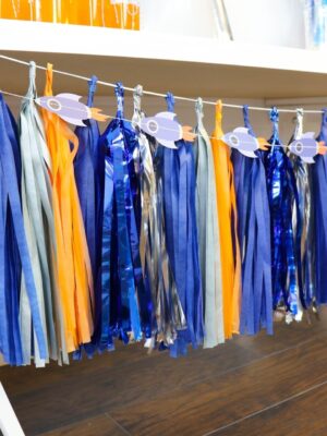 Astronaut Tissue Tassel Garland Kit