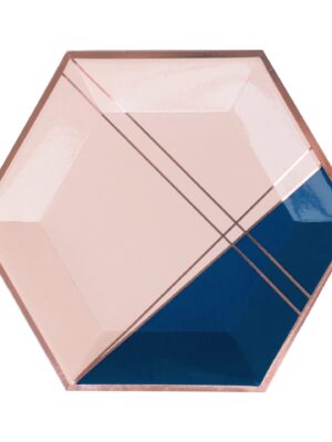 Erika - Pale Pink and Navy Colorblock Large Paper Plates