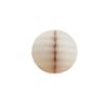 Honeycomb Tissue Ball - 5 Inch