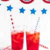4th of July Reusable Straws