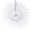 Tissue Paper Fan - 18 Inch Starburst