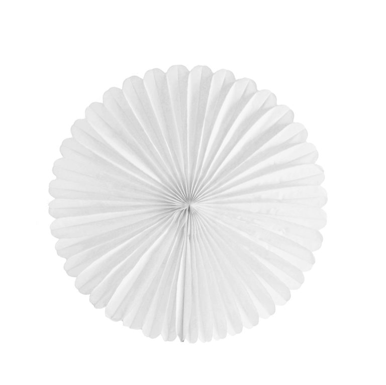 Tissue Paper Fan - 13 Inch