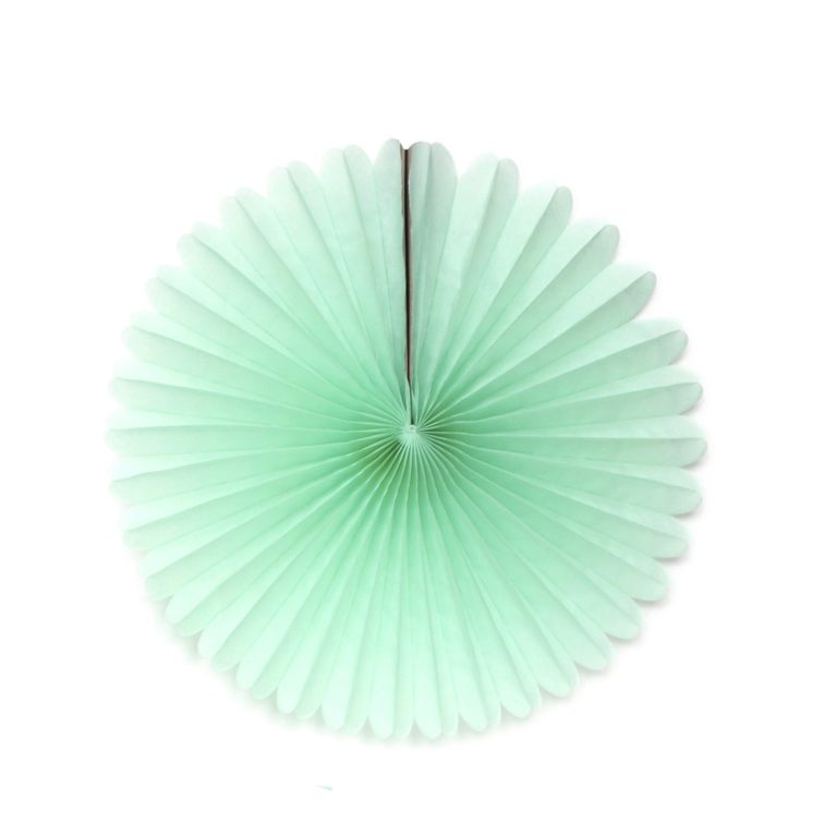 Tissue Paper Fan - 13 Inch