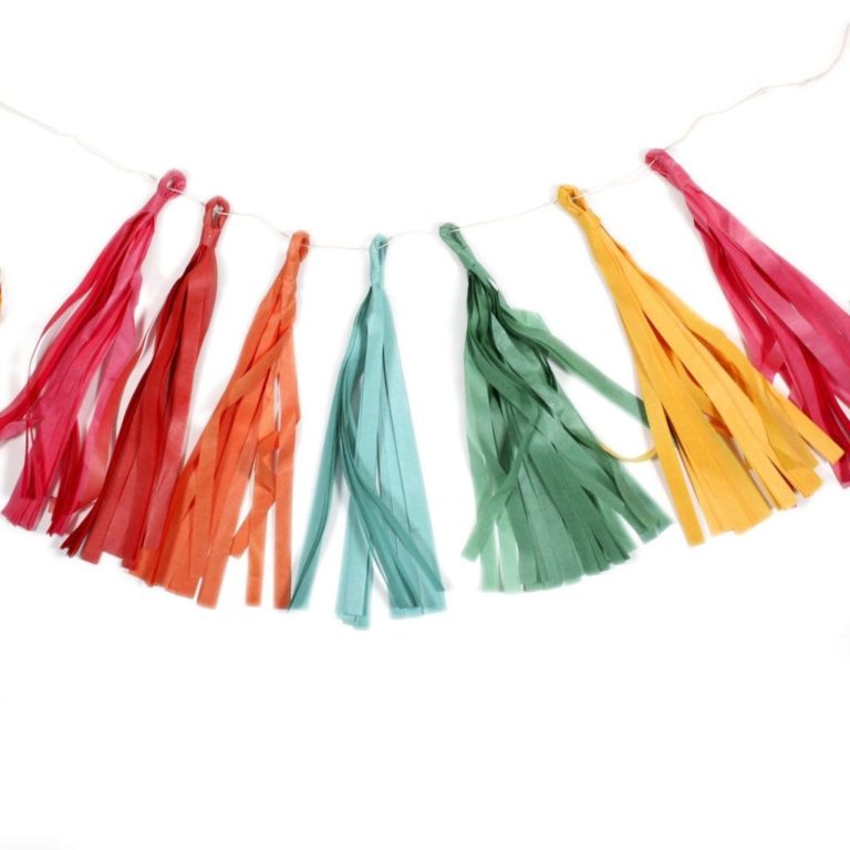 735fe96d90b621a135bebd288279395499efc6f0.jpg Fiesta Tissue Tassel Banner
