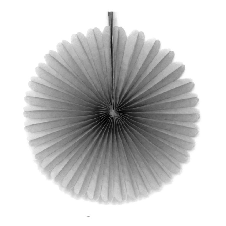 Tissue Paper Fan - 13 Inch