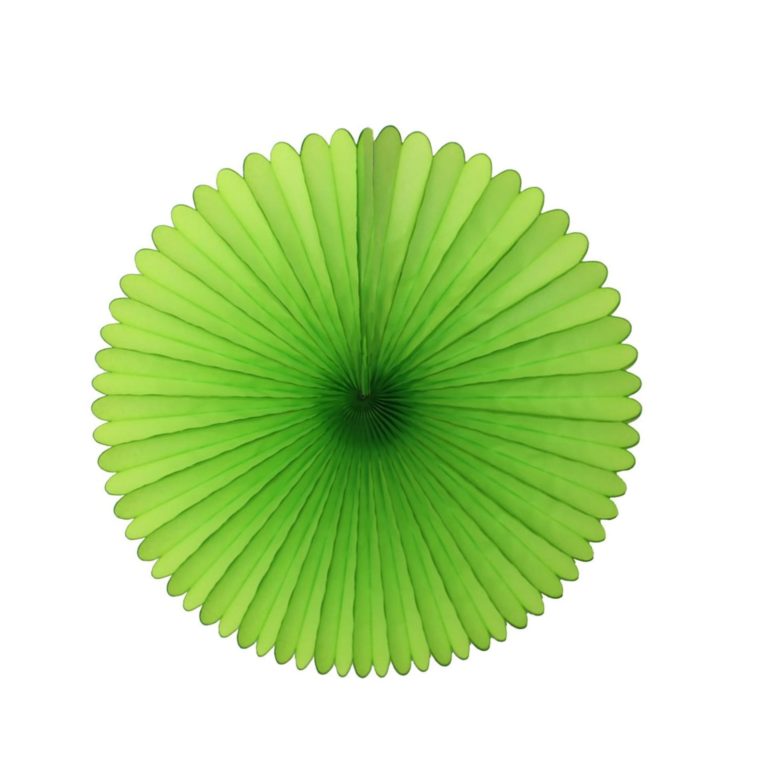 Tissue Paper Fan - 13 Inch
