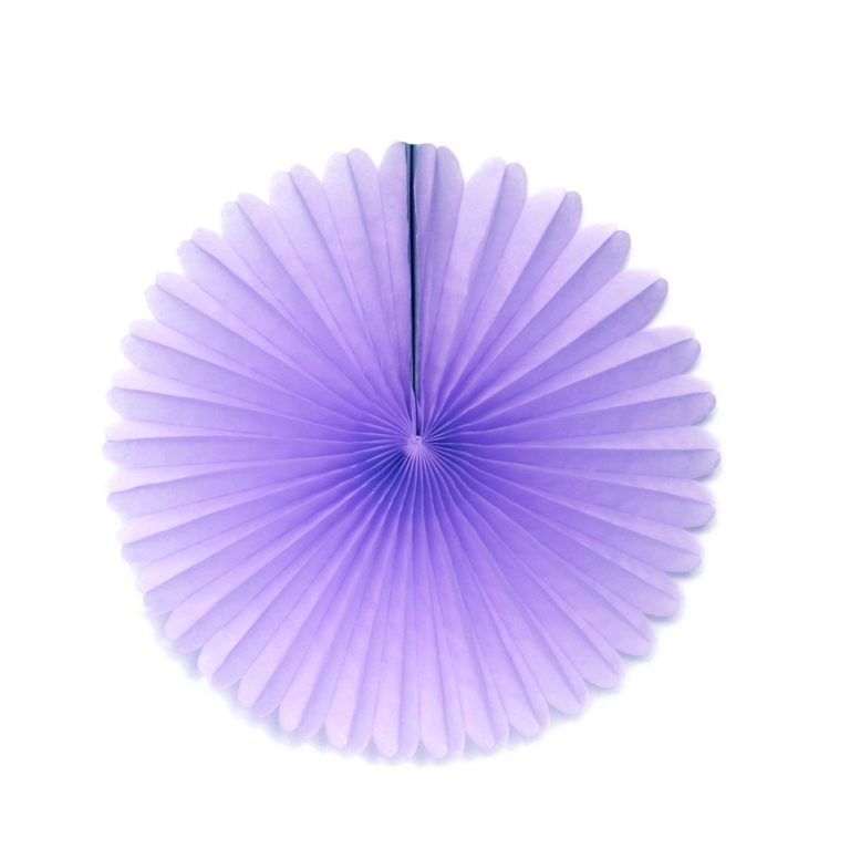 Tissue Paper Fan - 13 Inch