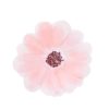 Flower Garden Small Plates