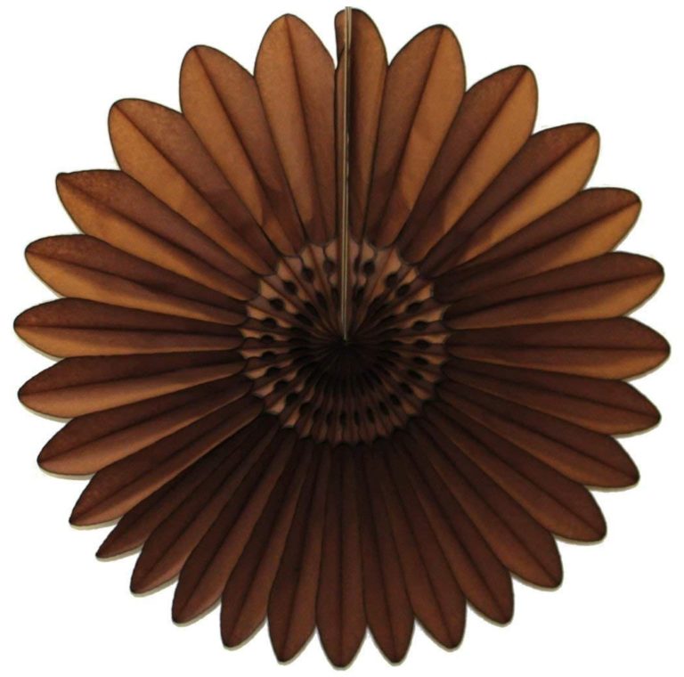 Tissue Paper Fan - 18 Inch Starburst