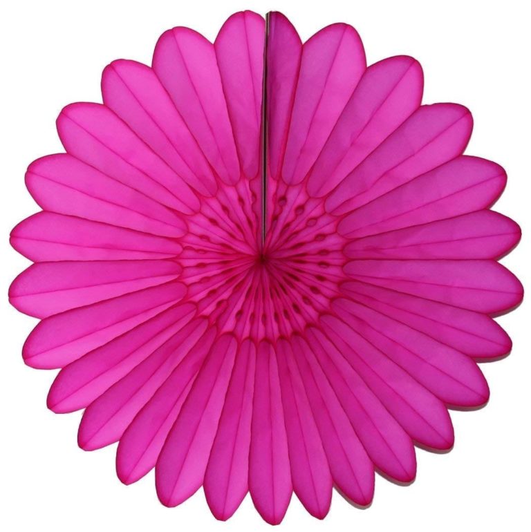 Tissue Paper Fan - 18 Inch Starburst