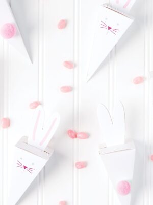Easter Bunny Treat Boxes