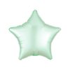 Satin Star Mylar Balloon