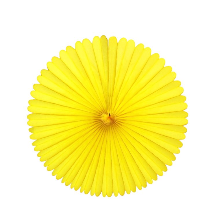 Tissue Paper Fan - 13 Inch