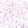 Artisan Confetti - 1 oz - Rose Gold