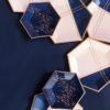 Erika - Pale Pink and Navy Colorblock Large Paper Plates