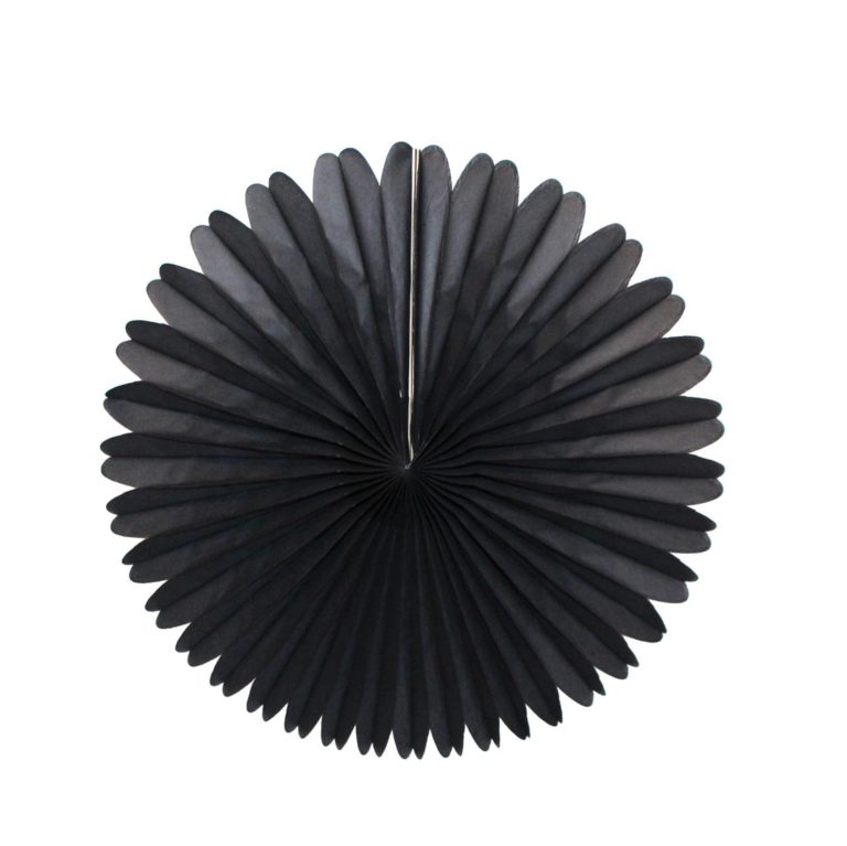Tissue Paper Fan - 13 Inch