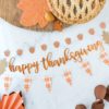 Thanksgiving Mini Banner Set of 3