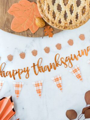 Thanksgiving Mini Banner Set of 3