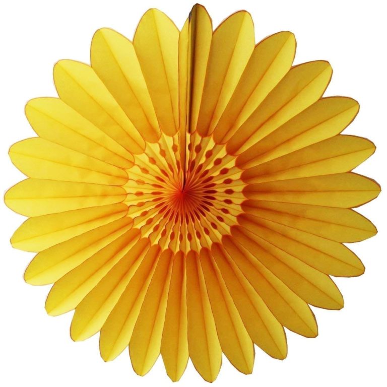Tissue Paper Fan - 18 Inch Starburst
