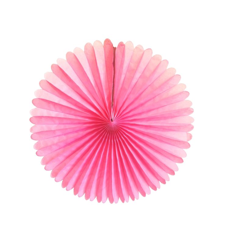 Tissue Paper Fan - 13 Inch