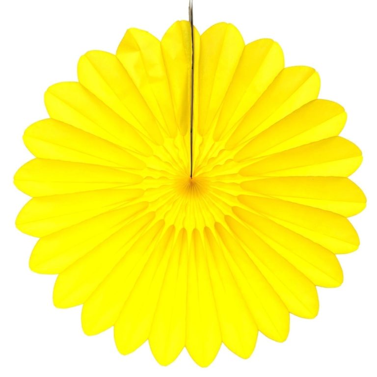 Tissue Paper Fan - 18 Inch Starburst
