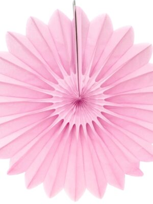 Tissue Paper Fan - 18 Inch Starburst