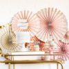 Blush Pink and Gold Party Fans with Confetti