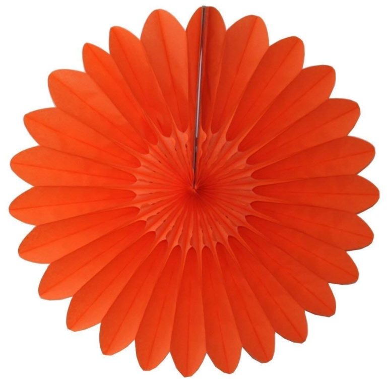 Tissue Paper Fan - 18 Inch Starburst