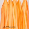 DIY Tissue Tassels - Pack of 5 Pre-Cut Tassels